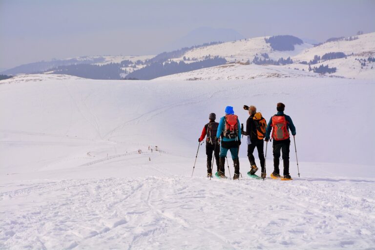 Best Practices for Cricket Media Coverage