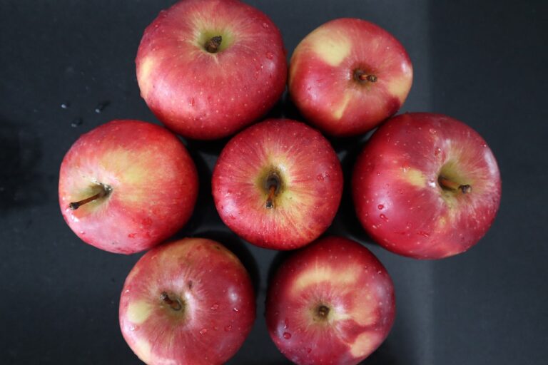 How Technology Is Transforming Home Health Care