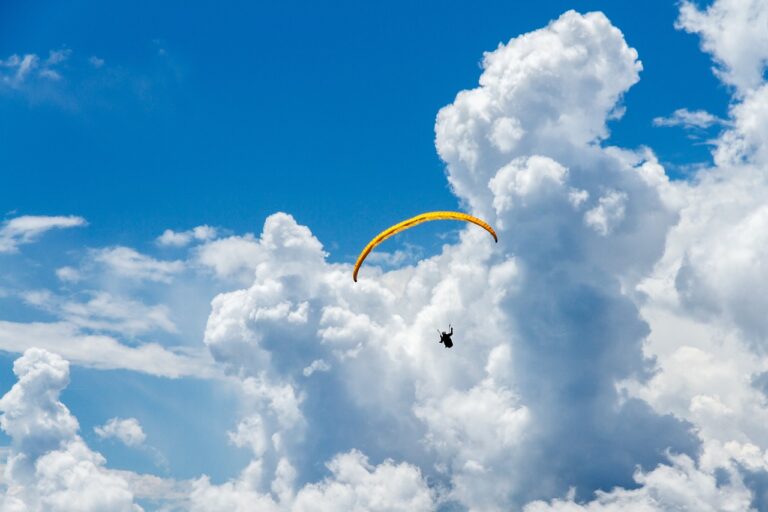 How Digital Marketing is Shaping the Future of Cricket