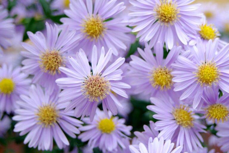 Upgrading Your Home’s Exterior with Energy-Efficient Windows