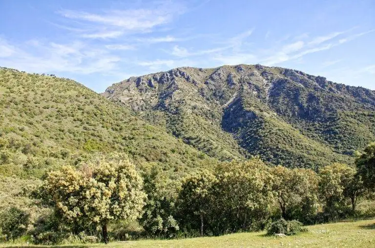 Traveling Through Time: Exploring Historical Sites and Ancient Civilizations